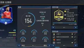 芬尼史密斯什么时候上场